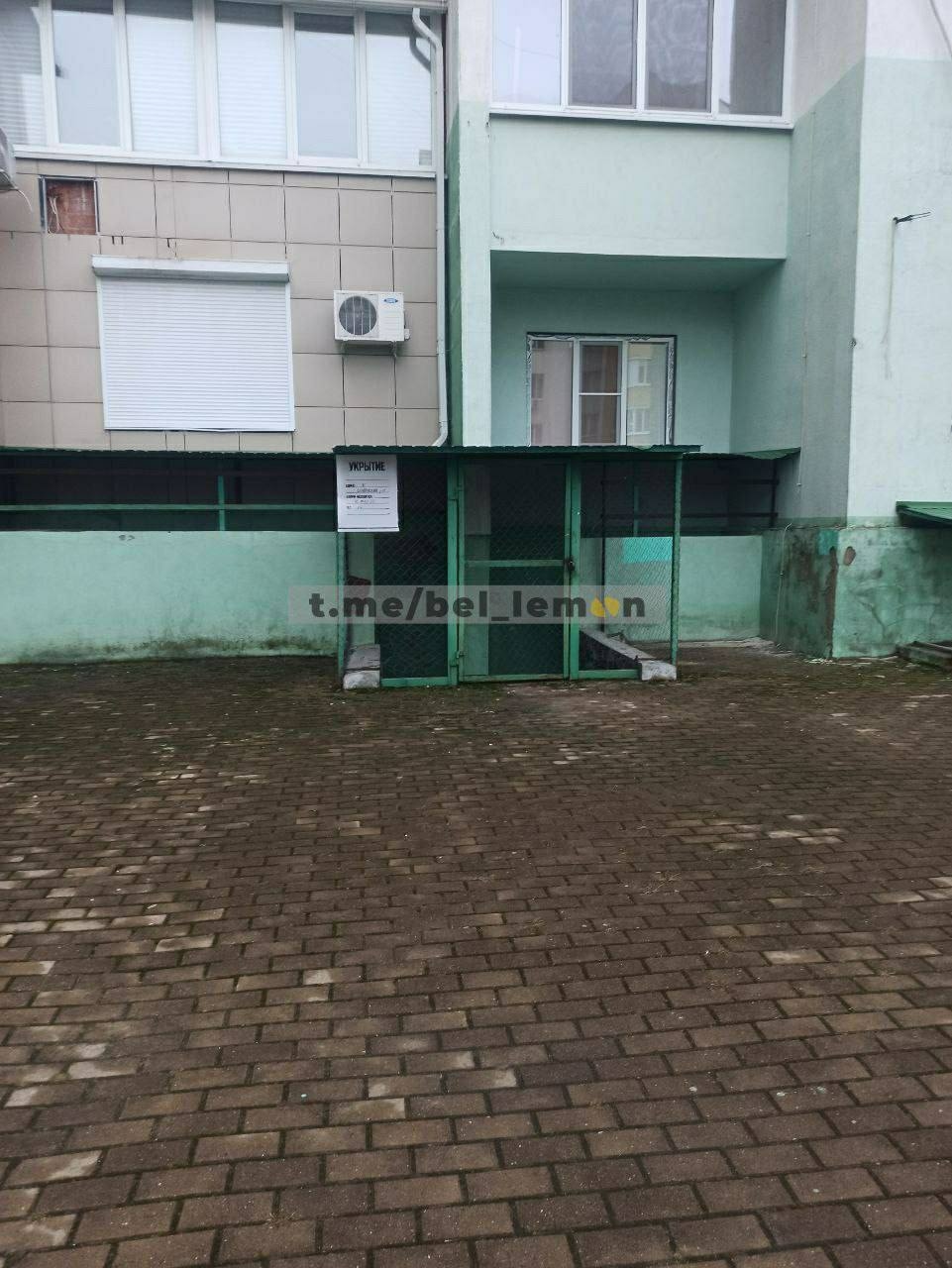 Миниатюра 2