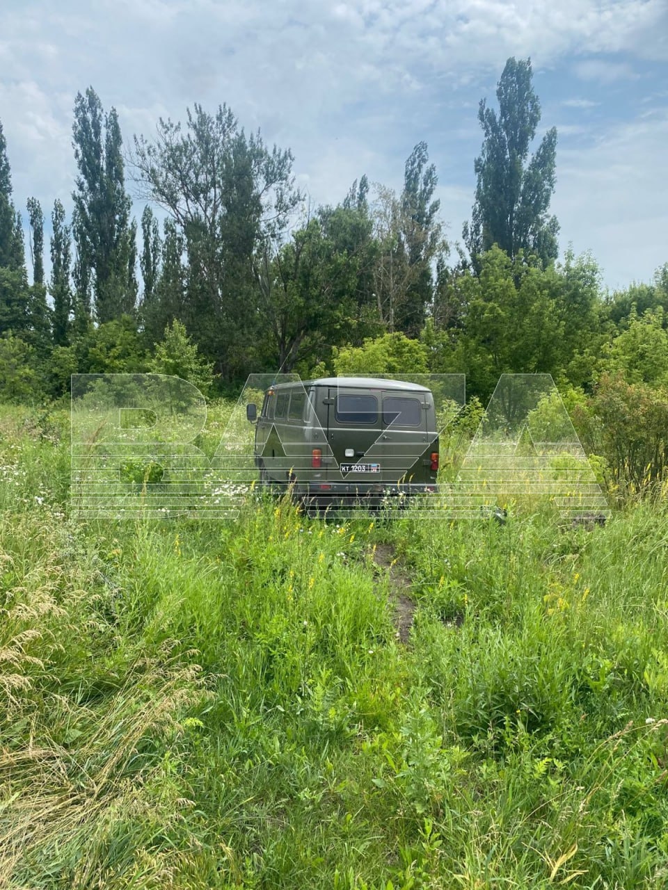 Изображение из галереи