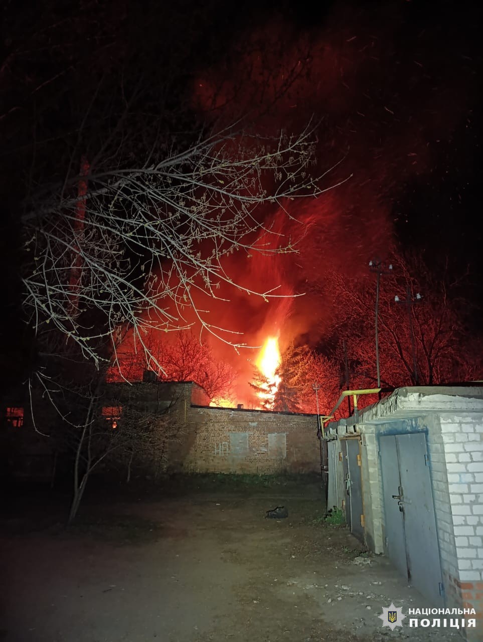 Миниатюра 4