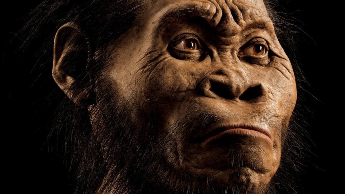Homo Naledi / Фото: Mark Thiessen / National Geographic